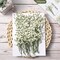 200pcs Mini Dried Baby’s Breath Flowers – Natural Pressed Gypsophila for Wedding Invitations, Card Making, Resin Art, Candles & DIY Home Party Decor